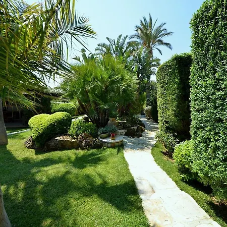 Palme Alcamo Marina
